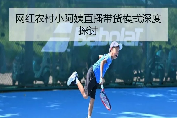 网红农村小阿姨直播带货模式深度探讨